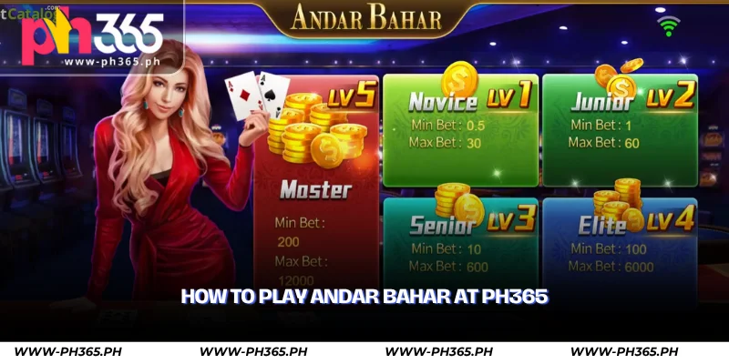 Andar Bahar – Play the Classic Indian Card Game Online 2 how to play andar bahar at ph365